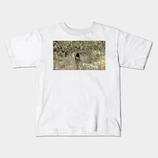 Channel Islands National Park Santa Cruz Island Kids T-Shirt